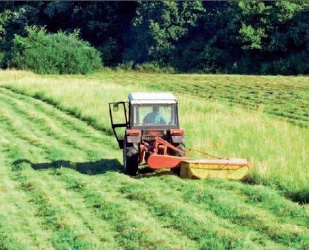 Hay drying and haymaking