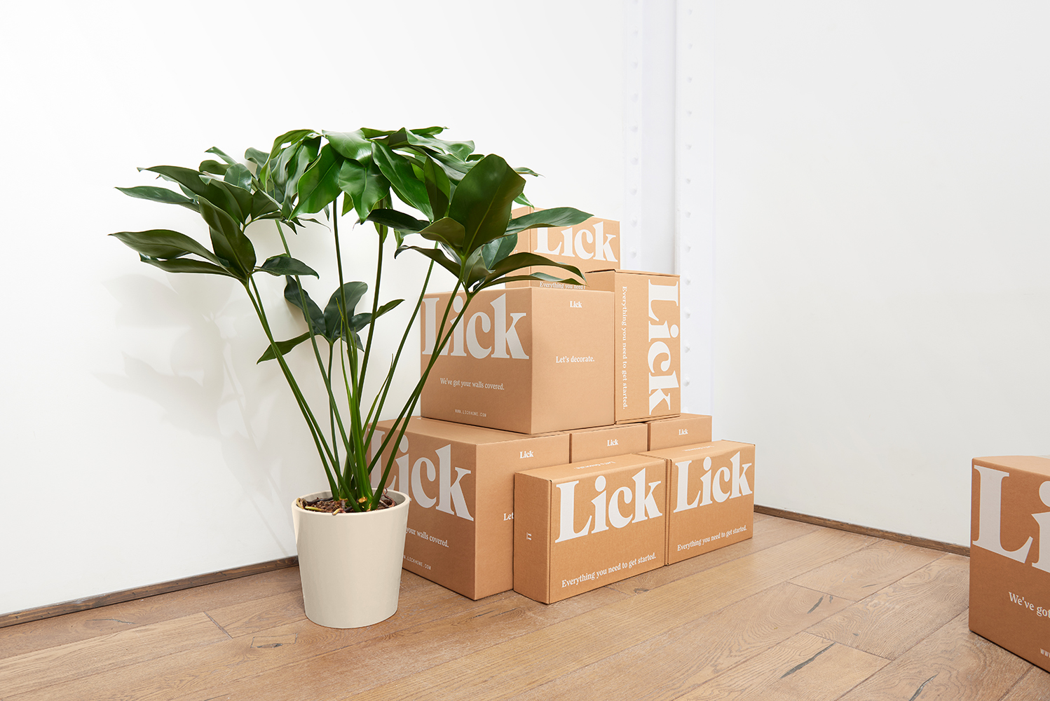 david's Review Yellow 05 Matt 2.5L Lick