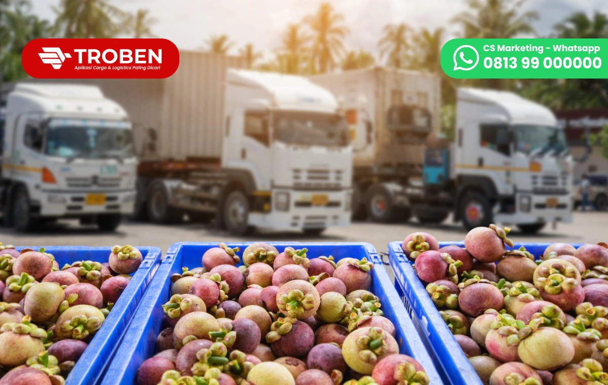 Begini Cara Kirim Paket Buah Agar Tidak Busuk di Perjalanan, Anti Rugi!