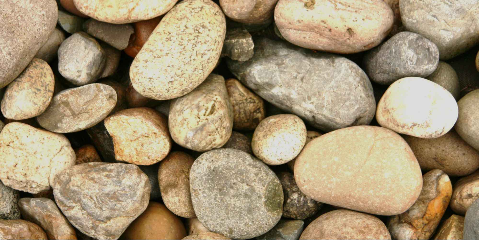 choose-rocks-1657799755864.webp