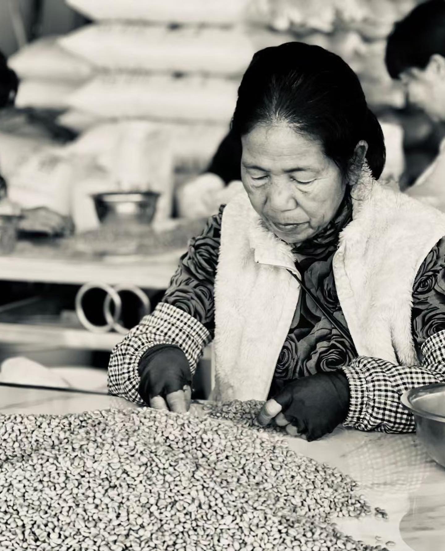 Do_you_know_where_your_coffee_comes_from_Through_direct-sourcing_beans_from_these_villages_our_team_can_ensure_there_is_.jpg