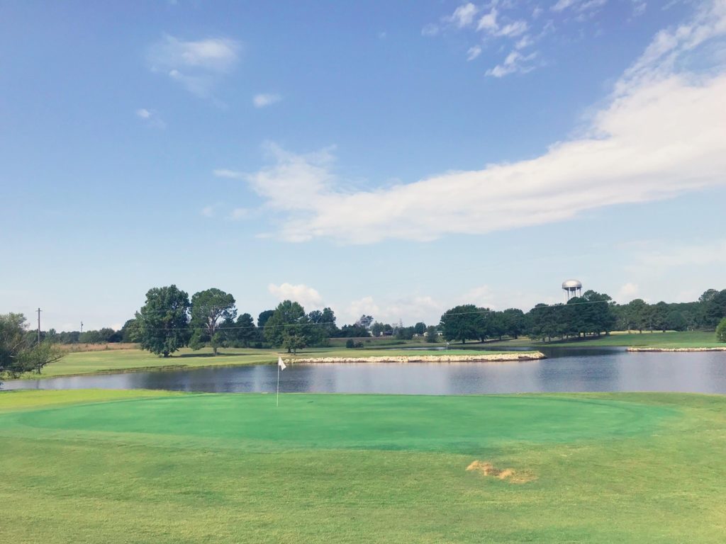 In the foreground is a green patch of grass on a golf course. The background has a lake. The sky is bright blue.