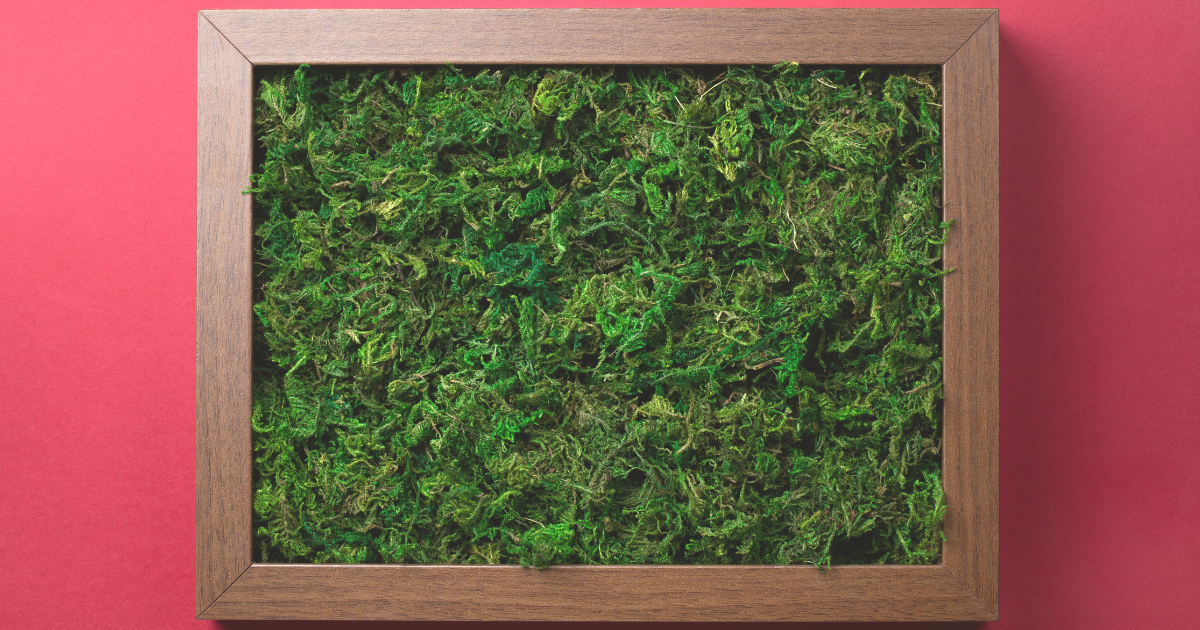 Moss art frame.png