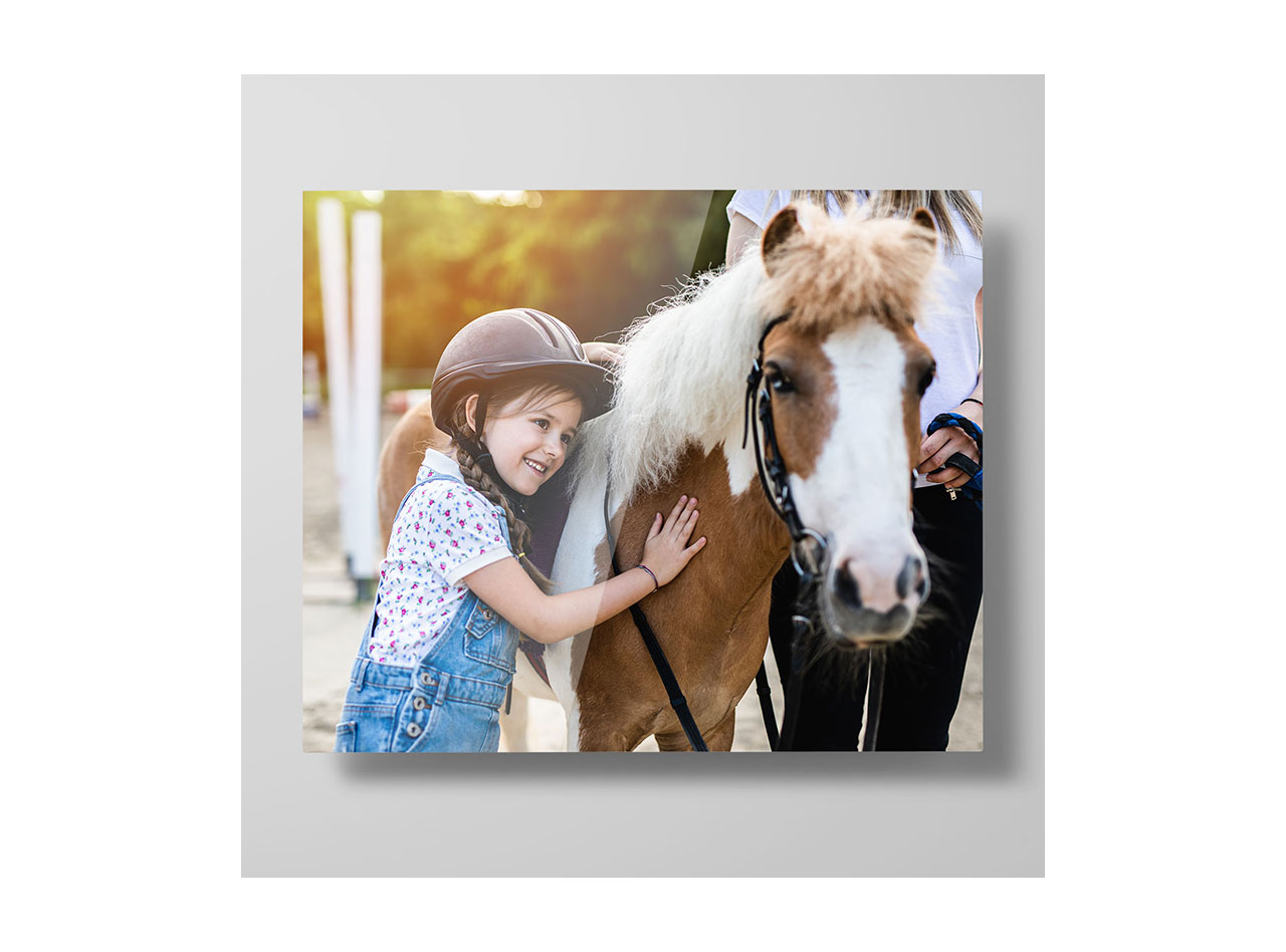 A metal print depicting a smiling young girl petting a horse 