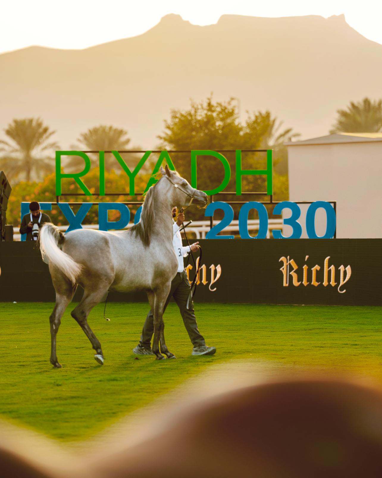 horse center copy (1).jpg