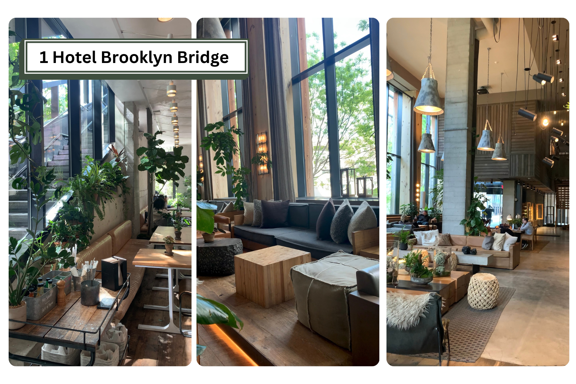 1 Hotel Brooklyn Bridge.png