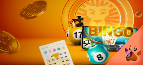 Bingo Blogi | Oppaat bingo-pelien pelaamiseen | LeoVegas