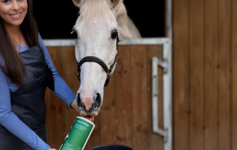reitsport-blog-EQX-Atemwege-beitrag-Header.jpg