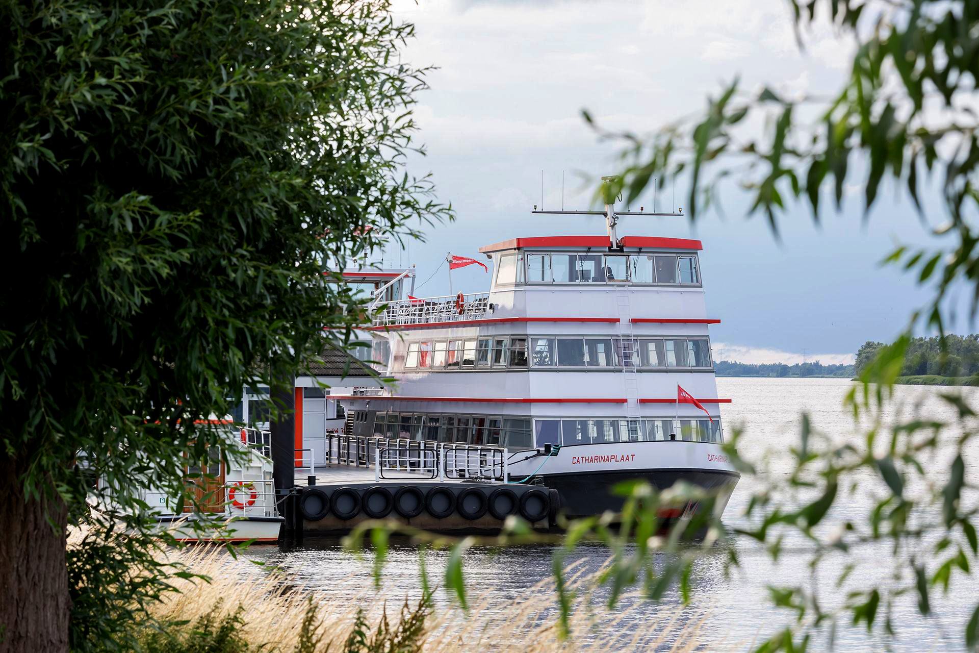 Biesbosch foto 4.jpg