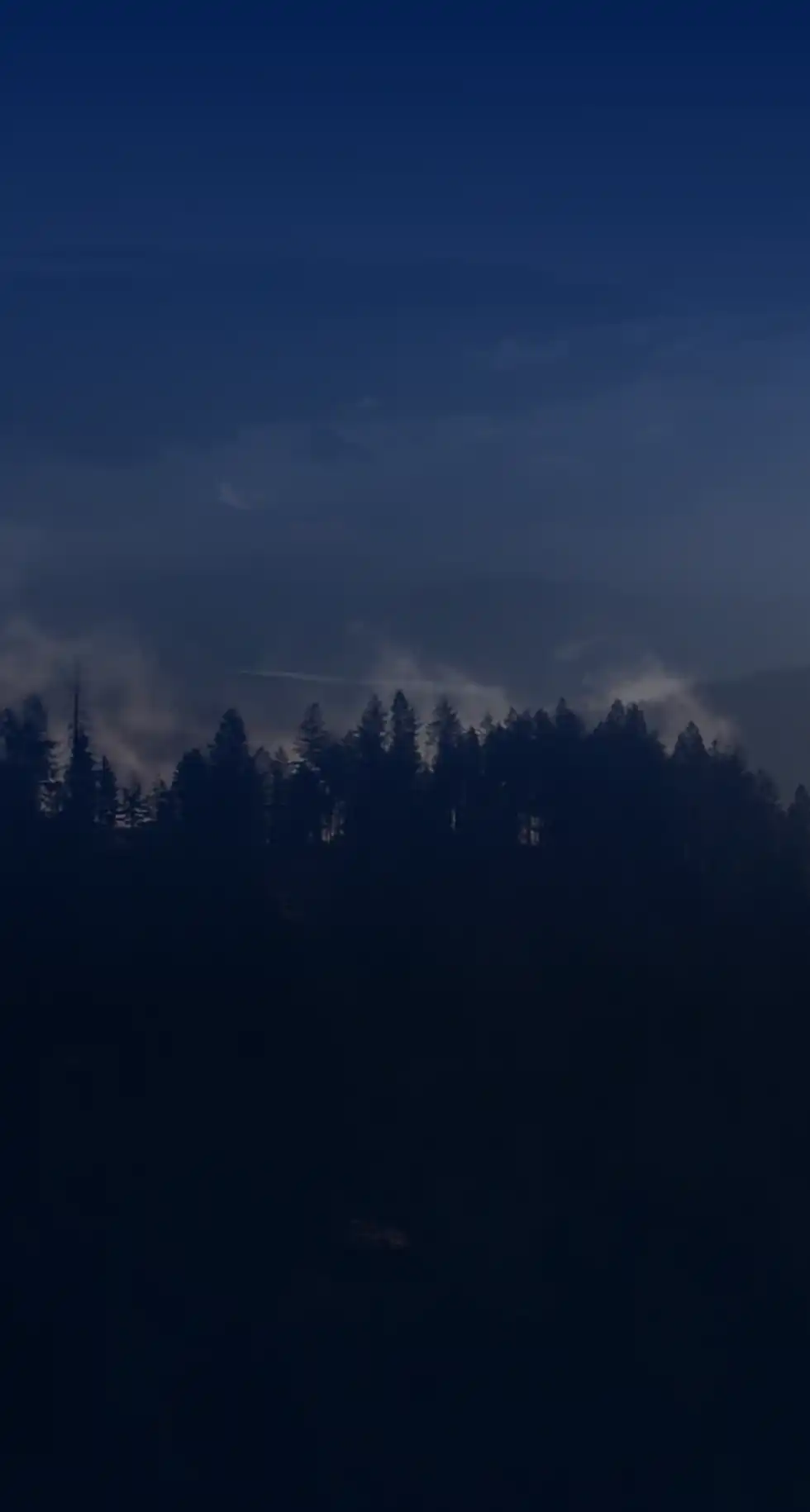 aerial view of mist rising from forest and lake