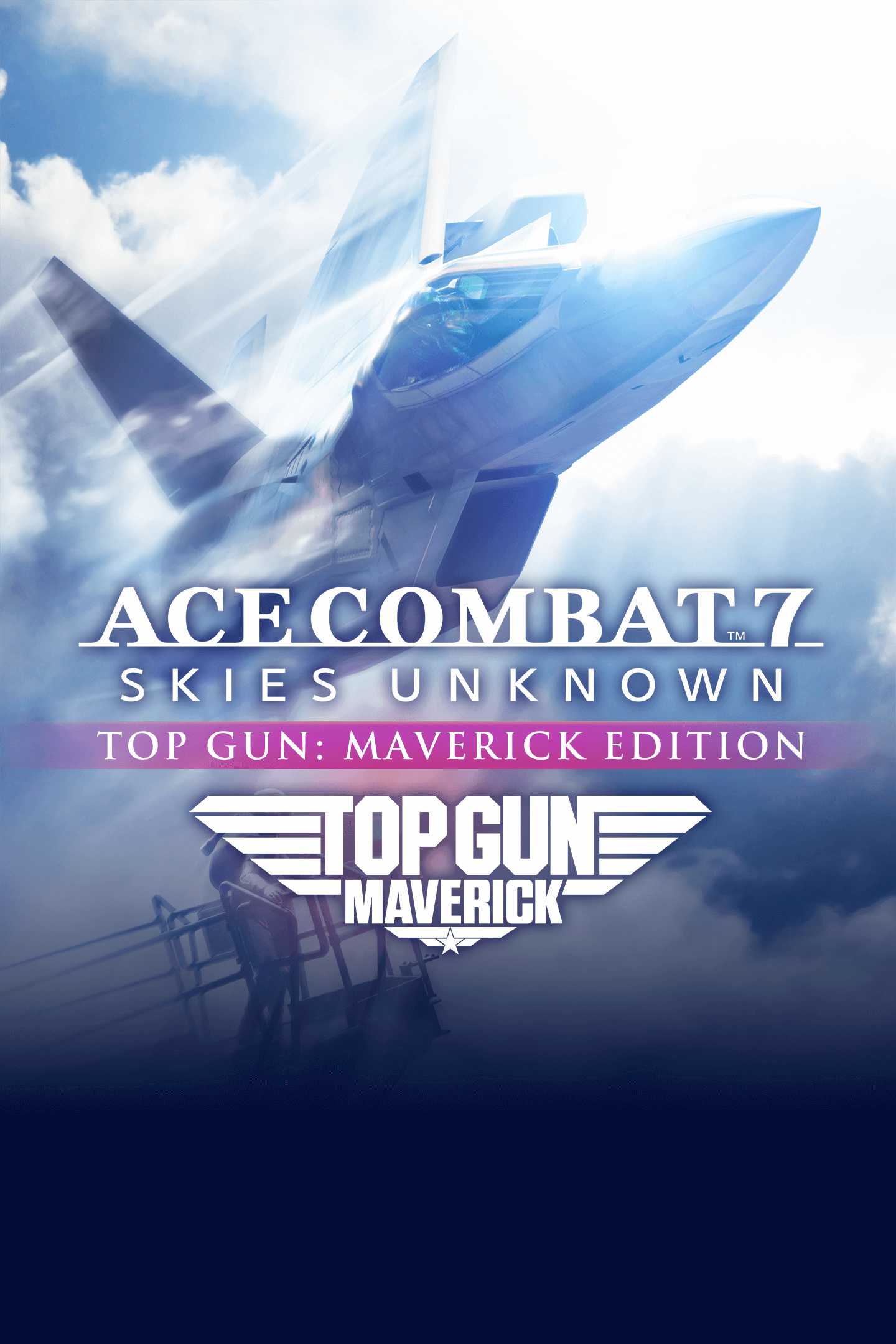 Ace Combat 7: Skies Unknown Product Image