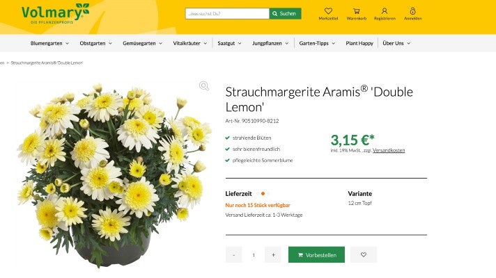 Amaris-Margariten im Volmary Online-Shop