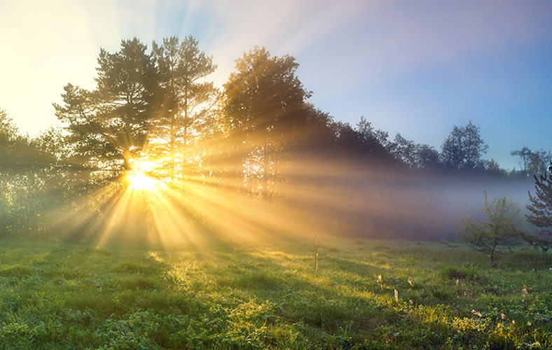 Sonnenstrahlen-Sonnenenergie-nutzen-Ratgeber.jpeg