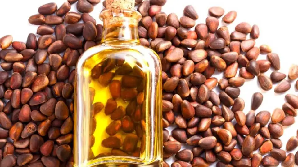 Pine Nut Oil as Varicose Treatment
