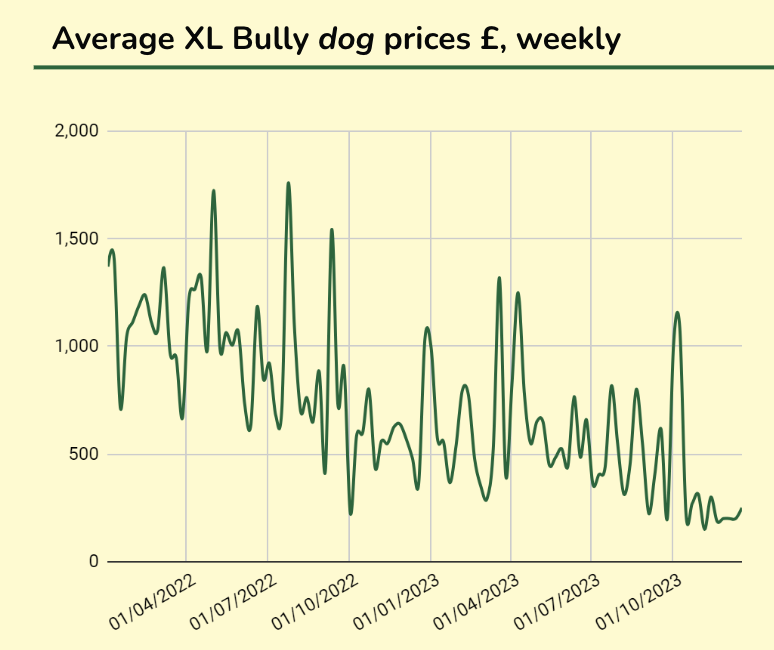Average XL Bully dog prices £, weekly.png