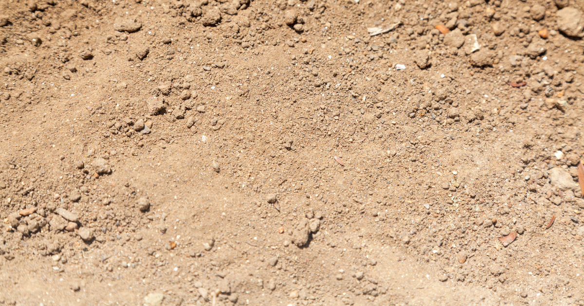 Sandy Soil.png