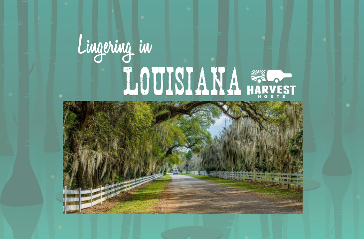 Lingering in Louisiana