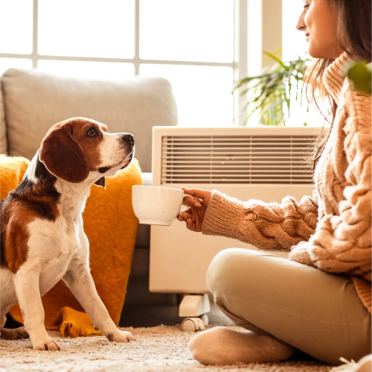 Woman sits cross legged on her living room floor opposite her dog. She's drinking a cup of tea, wearing a wooly jumper and beside an electric heater.