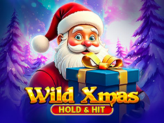 Wild Xmas - Hold And Hit