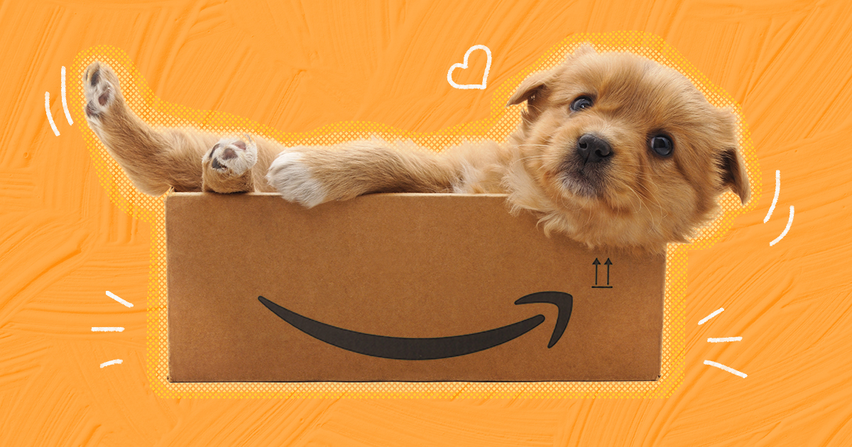 The Best Amazon Prime Day Dog Bed Deals Of 2022