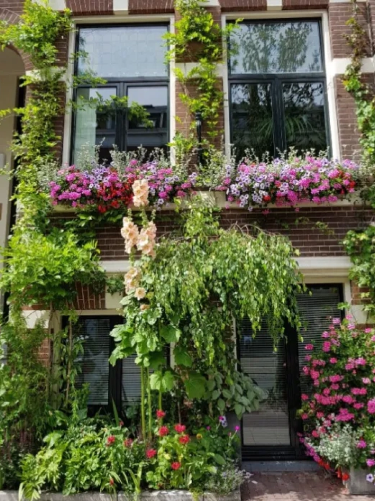 Een geveltuin in Amsterdam}