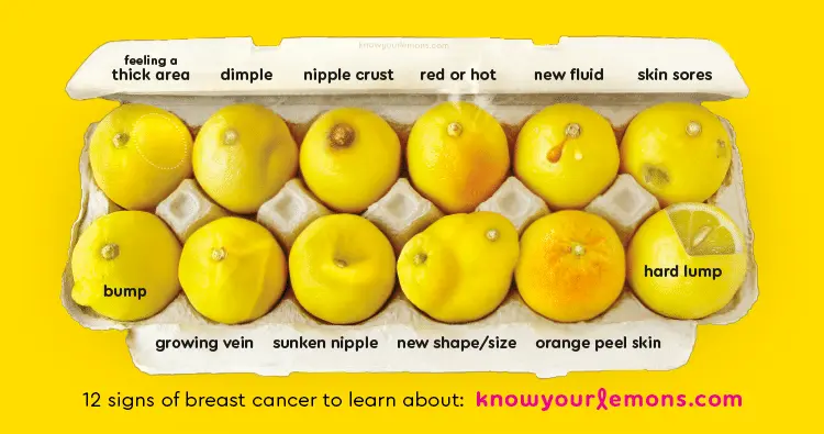 know-your-lemons.webp