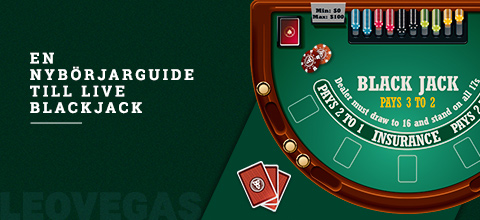 Blackjack Guide - Hur spelar man blackjack? | LeoVegas