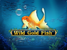 Wild Gold Fish