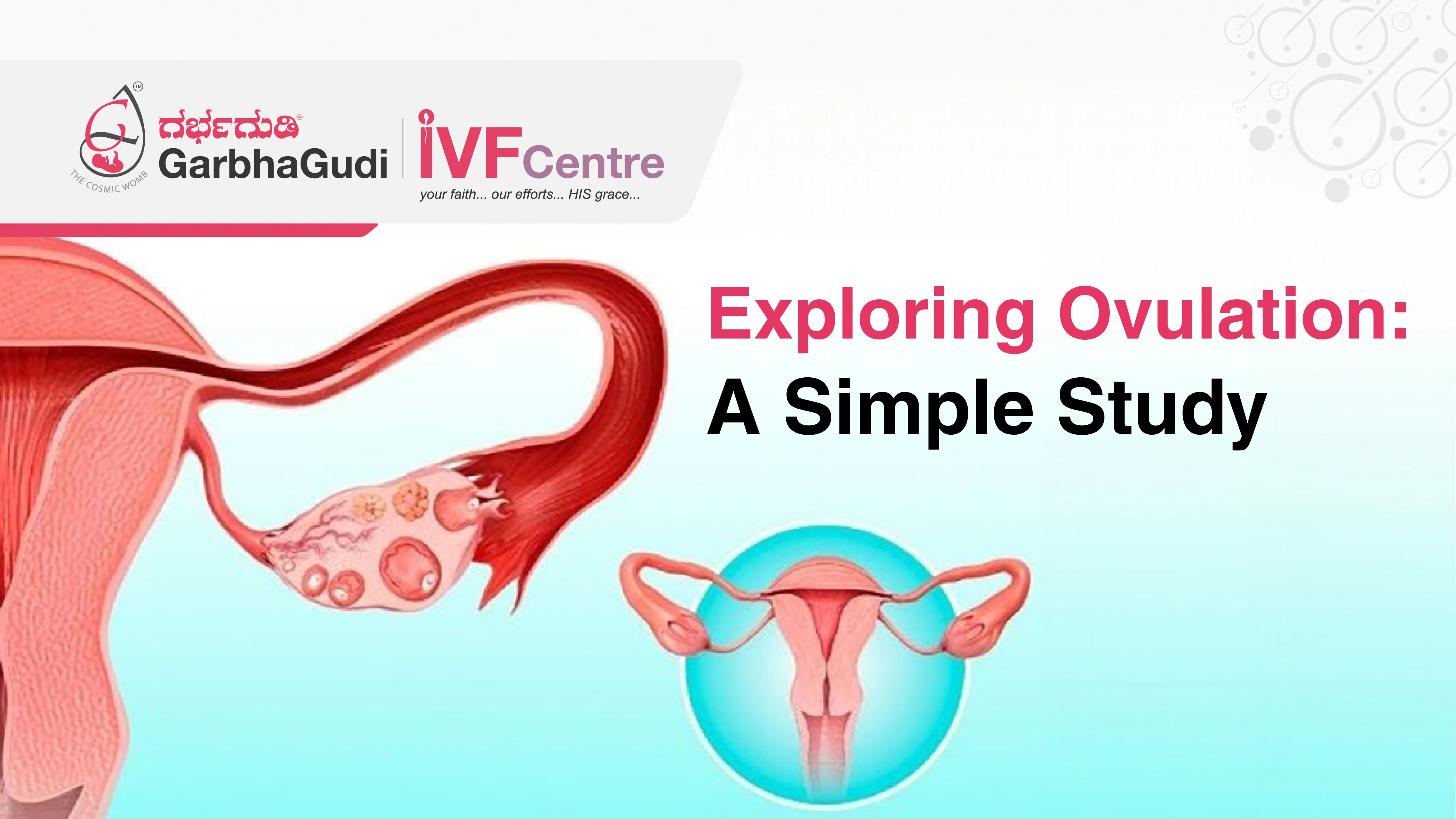 Exploring Ovulation: A Simple Study