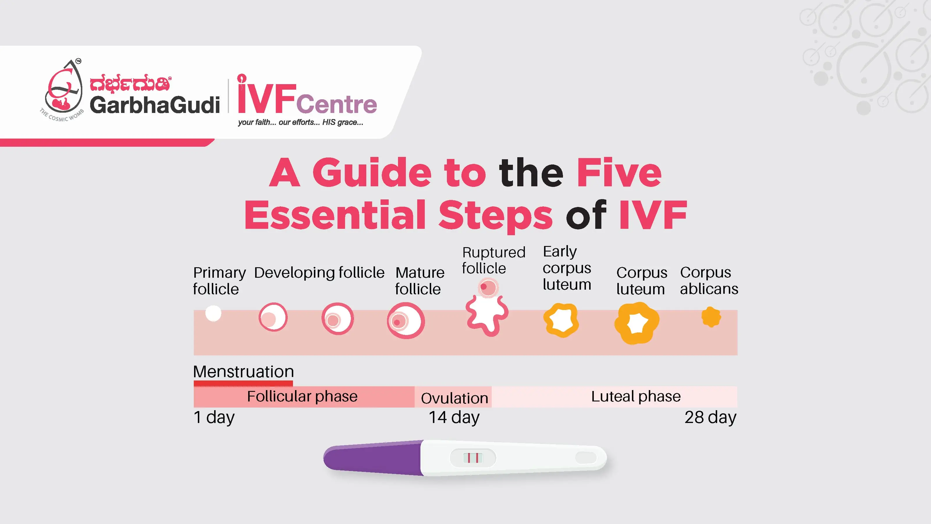 A Guide to the Five Essential Steps of IVF