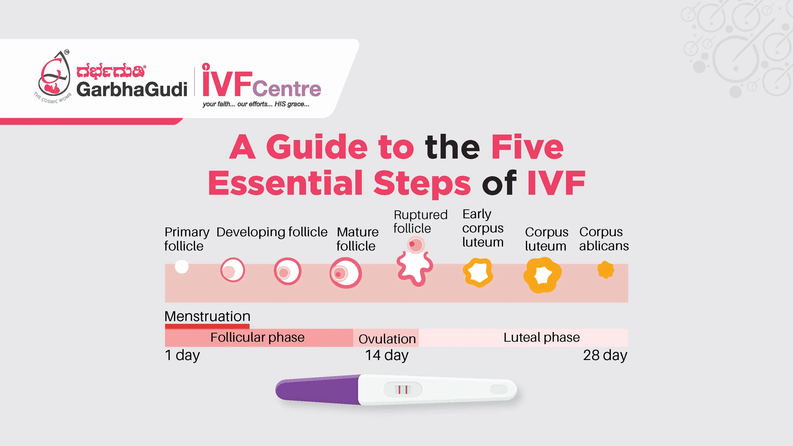 What Are The 5 Stages of IVF? GarbhaGudi IVF