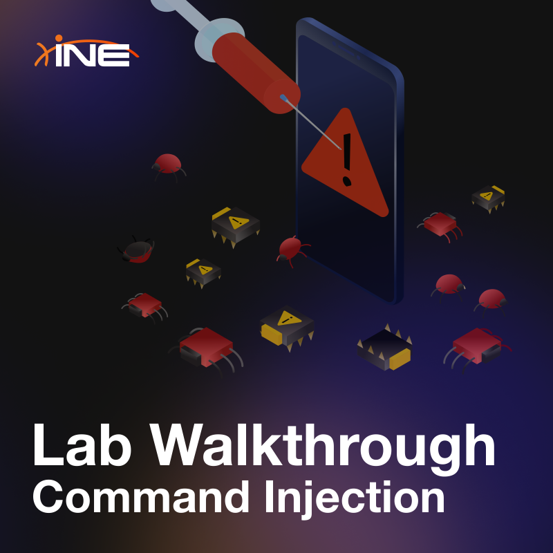 Lab Walkthrough - Command Injection