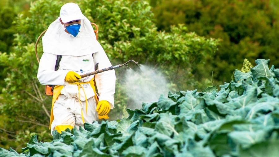 glifosato-agrotoxico-1623953169327_v2_900x506.jpg
