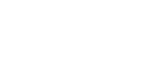 The company logo for Feisty. Beer Co.