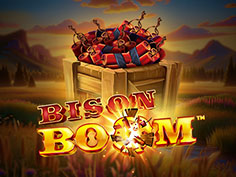 Bison Boom