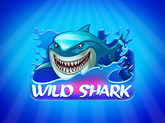 Wild Shark
