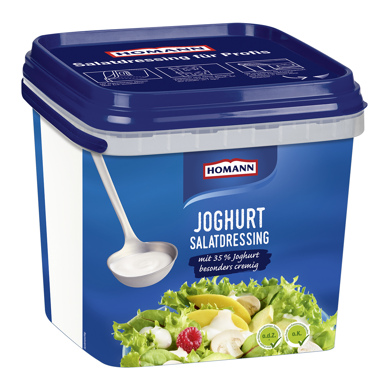 HOMANN Salatdressing Joghurt 4l | KRAUSS Marketplace