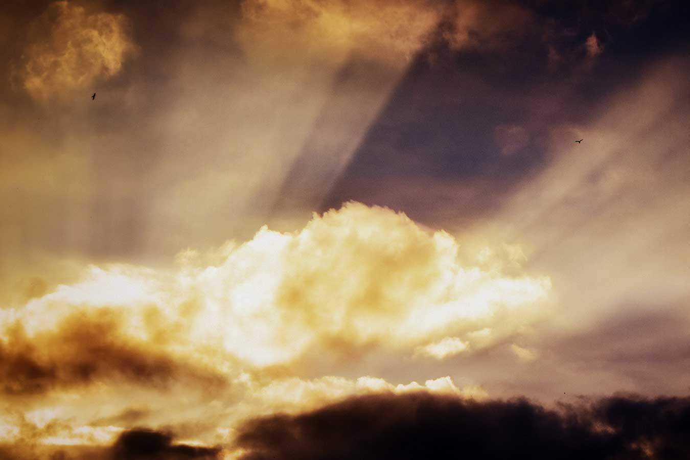 The Cloud Of Glory And The Transfiguration 