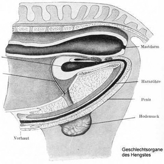 intimbereich-pflegen_320x320.jpg