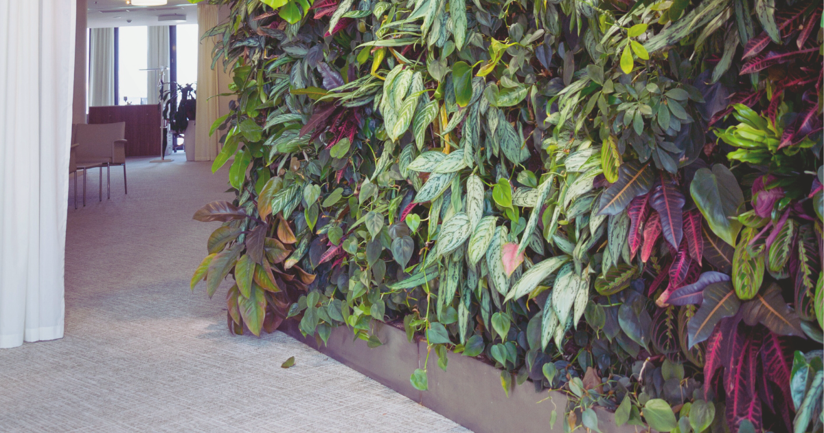 Living Wall Panels.png