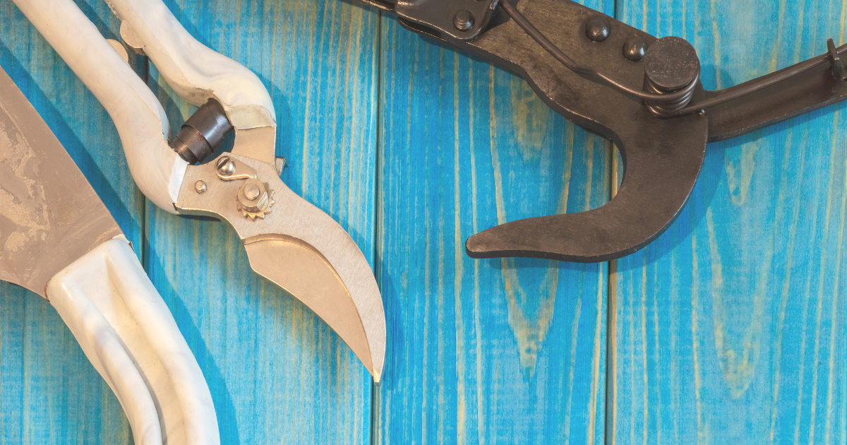 Tools Needed for Safe Pruning.png