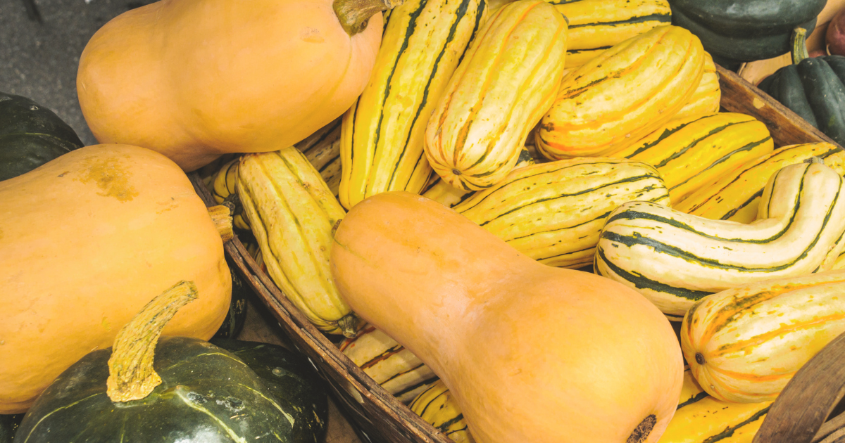 Winter Squash.png