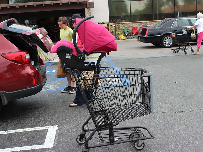 Shopping cart shop car seat holder