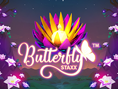 Butterfly Staxx