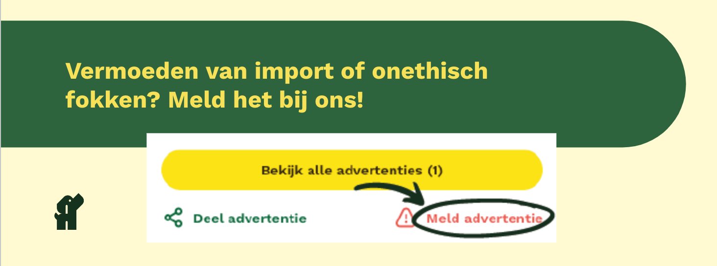 Meld advertentie