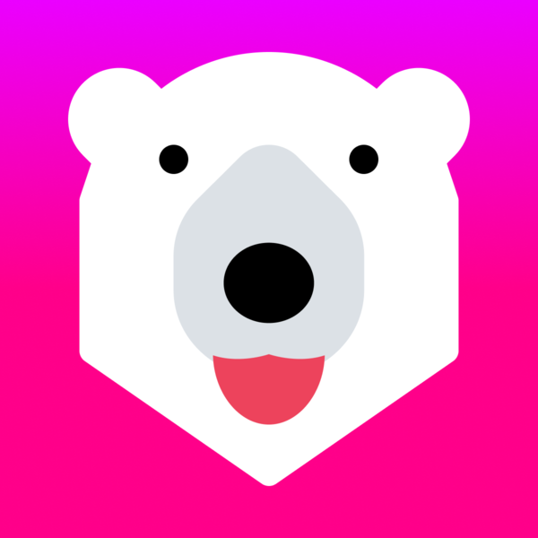 Currency Converter Bear